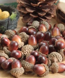 JETTING HomeGarden Store 10PCS Fake Fruits Artificial Mini Acorn Oak Foam Nut Ornaments Home Room Party Xmas Decorative Christmas Decorations For Home