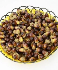 JETTING HomeGarden Store 10PCS Fake Fruits Artificial Mini Acorn Oak Foam Nut Ornaments Home Room Party Xmas Decorative Christmas Decorations For Home