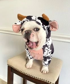 Onlineamericanstore Eeyore Halloween Pet Costume Sizes XS To XL - Cattle Milk Cow 3D