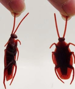 Lavender Wonderland Store 10*pcs Funny Fake Cockroach Gag Gifts Great For Halloween Party Prank Funny Trick Joke Special Model Fake Cockroach