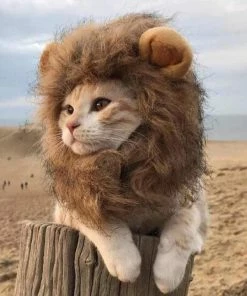 Magic Sky Funny Clothes For Cats Lion Mane Cat Costume Lion Hair Wig Cap Dog Costumes For Small Dogs Christmas Pet Halloween Costumes Halloween Pets Accessories