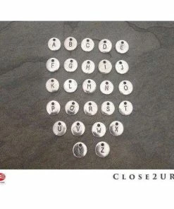 Feifish American Bulldog Pets