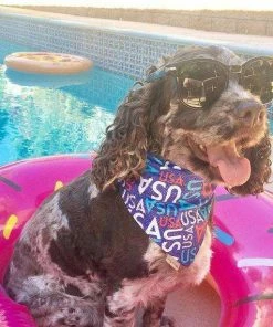 The American Store American Dog Bandana, USA Dog Bandana, Memorial Day Dog Bandana, Fourth Of July Dog Bandana, 4th Of July Dog Bandana, Dog Bandana, Red, Blue Pets