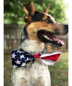 HaleysHoundHaus American Flag Dog Bow Tie | Fourth Of July Bow Tie | 4th Of July| Slip On Bow Tie Pets