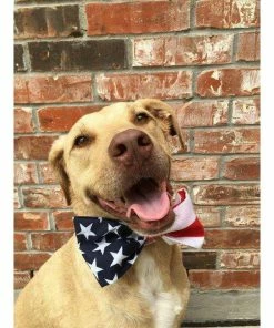 HaleysHoundHaus American Flag Dog Bow Tie | Fourth Of July Bow Tie | 4th Of July| Slip On Bow Tie Pets