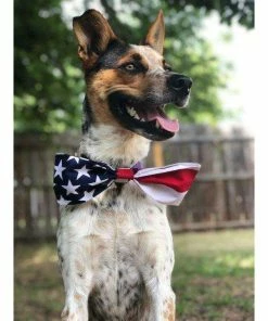 HaleysHoundHaus American Flag Dog Bow Tie | Fourth Of July Bow Tie | 4th Of July| Slip On Bow Tie Pets