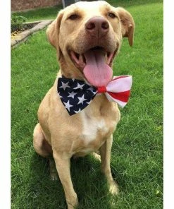 HaleysHoundHaus American Flag Dog Bow Tie | Fourth Of July Bow Tie | 4th Of July| Slip On Bow Tie Pets