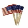 The American Store American Flag Picks, 100 Counts Toothpick Flags For Party Decorations, School Events, Independence Day,Cupcake Toppers Picks Decoration (US Flag Picks) Patriotic Theme Party Supplies