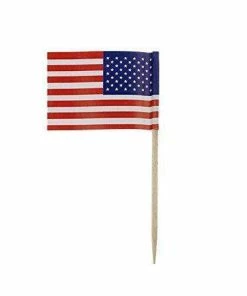 The American Store American Flag Picks, 100 Counts Toothpick Flags For Party Decorations, School Events, Independence Day,Cupcake Toppers Picks Decoration (US Flag Picks) Patriotic Theme Party Supplies
