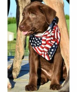 PatienceWayShop American Flag, Patriotic Dog Bandana, July 4th Dog Scarf, Red White Blue, Best Seller, Gifts For Volunteers, German Shepherd, Best Selling Pets