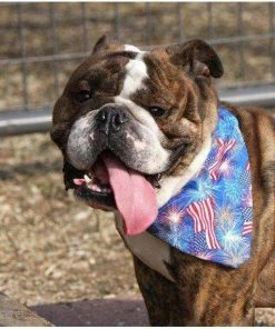 PatienceWayShop American Flag, Patriotic Dog Bandana, July 4th Dog Scarf, Red White Blue, Best Seller, Gifts For Volunteers, German Shepherd, Best Selling Pets