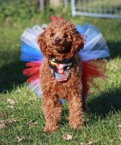 PatienceWayShop American Flag, Patriotic Dog Bandana, July 4th Dog Scarf, Red White Blue, Best Seller, Gifts For Volunteers, German Shepherd, Best Selling Pets