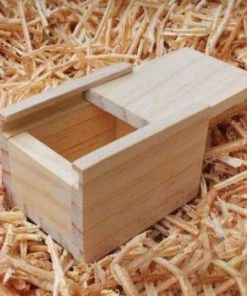 Glorikami American Hairless Terrier, Dog Necklace, Origami Necklace, Gold Plated Necklace, Dog Memorial, Original Design, Pet Lover, Pet Gift