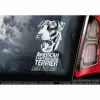 The American Store American Staffordshire Terrier On Board - Car Window Sticker - Staffie Staffy Dog Sign Decal Gift - V01 1 The American Store American Staffordshire Terrier On Board - Car Window Sticker - Staffie Staffy Dog Sign Decal Gift - V01