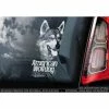The American Store American Wolfdog On Board - Car Window Sticker - Wolf Saarloos Dog Sign Decal Gift - V01 Pets