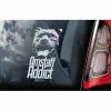 Stickerinternational Amstaff Addict - Car Window Sticker - American Staffordshire Terrier Staffie Staffy Dog Sign Decal - V01 Pets