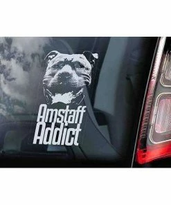 Stickerinternational Amstaff Addict - Car Window Sticker - American Staffordshire Terrier Staffie Staffy Dog Sign Decal - V01 Pets