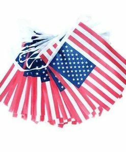 The American Store AZOWA 2 Pcs American Flag Pennant Banner On A String US Flag Streamers Bunting Decroration For 4th Of July Patriotic Theme Party Supplies