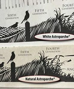 FreshRetroGallery Wall Decor & Art Family Tree Chart 2-per-order Blank Posters To Be Personalized W/genealogy, Gifts For Baby, Men, Women, Grandparents, Mother/father In-laws.