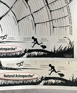 FreshRetroGallery Wall Decor & Art Family Tree Chart 2-per-order Blank Posters To Be Personalized W/genealogy, Gifts For Baby, Men, Women, Grandparents, Mother/father In-laws.