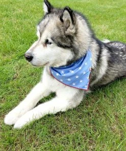 InspirationByTogo Pets Fourth Of July Dog Bandana - CHIEF // Red White And Blue Dog Bandana // Patriotic Dog Bandana // American Bandana // Stars And Stripes
