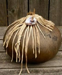 Online American Store Fringed Gourd Bowl, Decorative Gourd, Gourd Art, Lidded Gourd Bowl, Rustic Leather And Gourd Bowl 13 Online American Store Fringed Gourd Bowl, Decorative Gourd, Gourd Art, Lidded Gourd Bowl, Rustic Leather And Gourd Bowl
