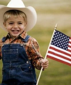 The American Store GiftExpress Set Of 12, Proudly MADE IN U.S.A. Small American Flags 4x6 Inch/Small US Flag/Mini American Stick Flag/American Hand Held Stick Flags Spear Top Flags & Banner