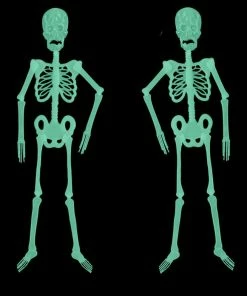 Loowood Store Hot Sale 1Pc Horror Luminous Movable Skull Skeleton Halloween Props Glow Halloween Eve Scary Halloween Decoration Halloween Decorations