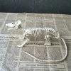The American Store Nice Skeleton Rat 100% Plastic Animal Skeleton Bones For Horror Halloween Decoration 1 The American Store Nice Skeleton Rat 100% Plastic Animal Skeleton Bones For Horror Halloween Decoration