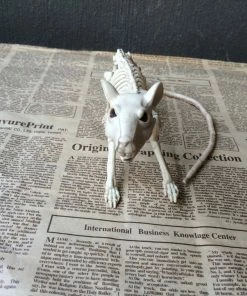 The American Store Nice Skeleton Rat 100% Plastic Animal Skeleton Bones For Horror Halloween Decoration 11 The American Store Nice Skeleton Rat 100% Plastic Animal Skeleton Bones For Horror Halloween Decoration