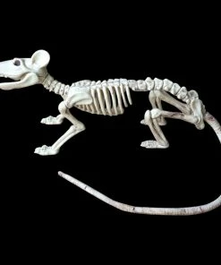 The American Store Nice Skeleton Rat 100% Plastic Animal Skeleton Bones For Horror Halloween Decoration 12 The American Store Nice Skeleton Rat 100% Plastic Animal Skeleton Bones For Horror Halloween Decoration