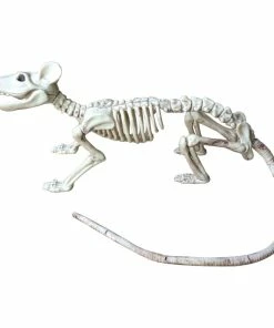 The American Store Nice Skeleton Rat 100% Plastic Animal Skeleton Bones For Horror Halloween Decoration 13 The American Store Nice Skeleton Rat 100% Plastic Animal Skeleton Bones For Horror Halloween Decoration