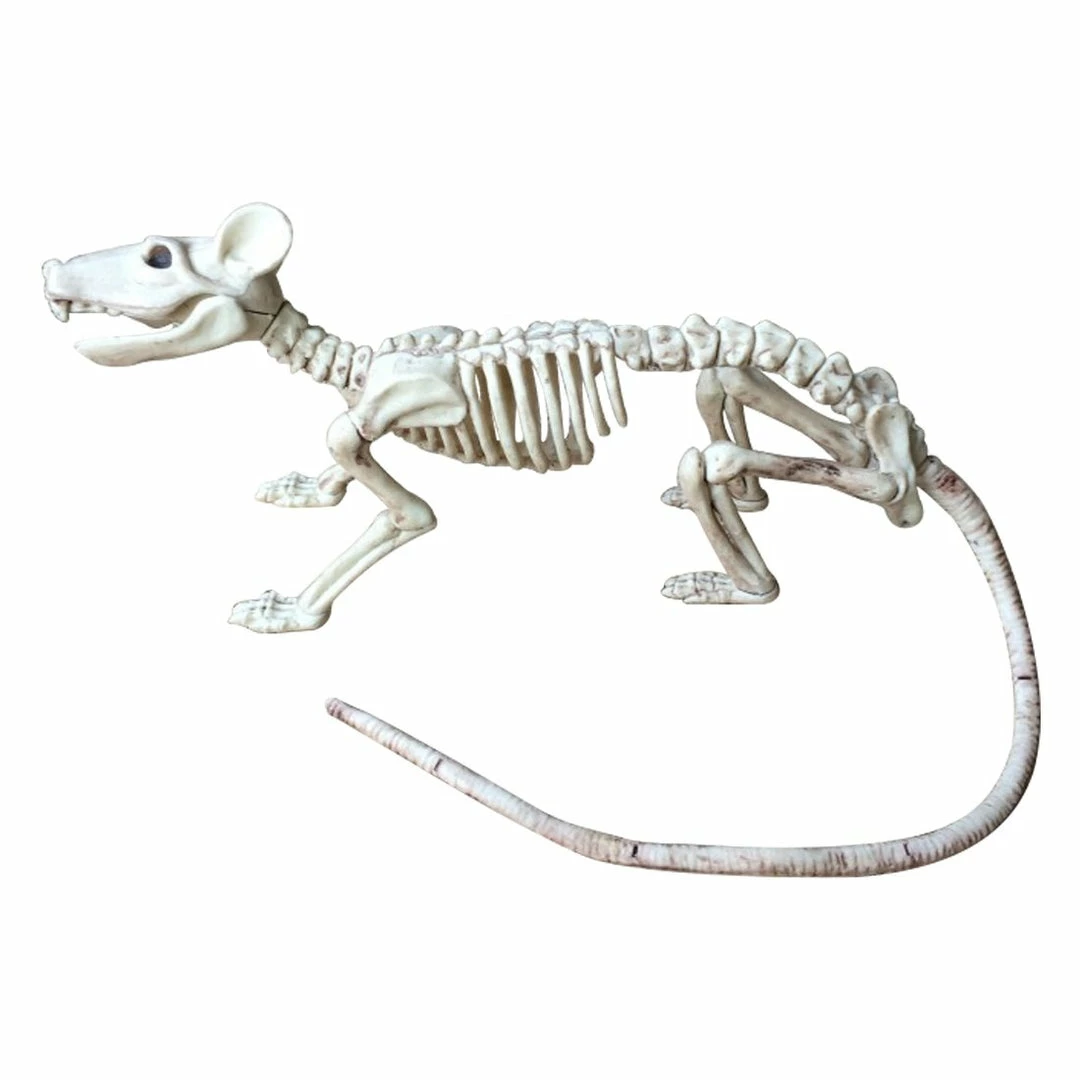 The American Store Nice Skeleton Rat 100% Plastic Animal Skeleton Bones For Horror Halloween Decoration 8 The American Store Nice Skeleton Rat 100% Plastic Animal Skeleton Bones For Horror Halloween Decoration