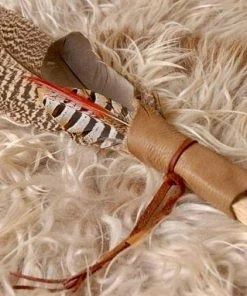 The American Store Native American Collection Palo Santo Smudge Fan, Feather Fan, Smudge Feather Fan, Peacock Feather Fan, Red And Copper Fan, Blessing Feather, Prayer Feather