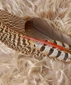 The American Store Native American Collection Palo Santo Smudge Fan, Feather Fan, Smudge Feather Fan, Peacock Feather Fan, Red And Copper Fan, Blessing Feather, Prayer Feather