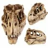Online American Store Halloween Decorations Resin Crafts Dinosaur Tooth Skull Fossil Teaching Skeleton Model Halloween Home Office Halloween Decoration