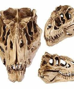 Online American Store Halloween Decorations Resin Crafts Dinosaur Tooth Skull Fossil Teaching Skeleton Model Halloween Home Office Halloween Decoration