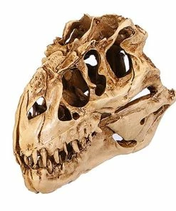 Online American Store Halloween Decorations Resin Crafts Dinosaur Tooth Skull Fossil Teaching Skeleton Model Halloween Home Office Halloween Decoration