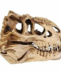 Online American Store Halloween Decorations Resin Crafts Dinosaur Tooth Skull Fossil Teaching Skeleton Model Halloween Home Office Halloween Decoration