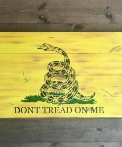 The American Store Small Concealment Flag - Gadsden Flag