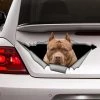 WawooShop Pets STICKER / Brown American Pitbull, Car Decal, Vinyl Decal,Pet Sticker, Dog Decal, Pitbull Decal