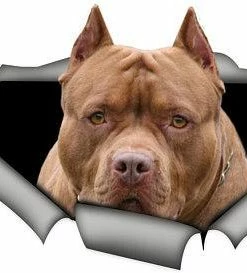 WawooShop Pets STICKER / Brown American Pitbull, Car Decal, Vinyl Decal,Pet Sticker, Dog Decal, Pitbull Decal