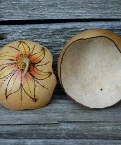 HollyHawkDesigns Sunflower Gourd Bowl, Lidded Gourd Dish, Sunflower Decor, Summer Gourd Bowl, Harvest Gourd Bowl