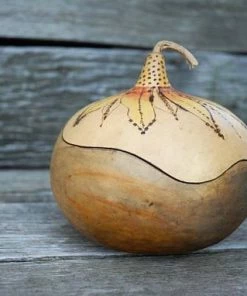 HollyHawkDesigns Sunflower Gourd Bowl, Lidded Gourd Dish, Sunflower Decor, Summer Gourd Bowl, Harvest Gourd Bowl