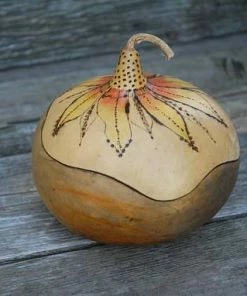 HollyHawkDesigns Sunflower Gourd Bowl, Lidded Gourd Dish, Sunflower Decor, Summer Gourd Bowl, Harvest Gourd Bowl
