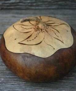 HollyHawkDesigns Sunflower Lidded Dish, Lidded Gourd Dish, Sunflower Decor, Summer Gourd Bowl, Harvest Gourd Bowl