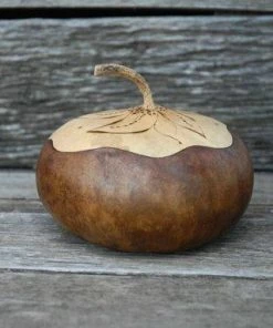 HollyHawkDesigns Sunflower Lidded Dish, Lidded Gourd Dish, Sunflower Decor, Summer Gourd Bowl, Harvest Gourd Bowl