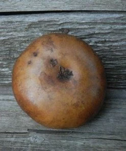 HollyHawkDesigns Sunflower Lidded Dish, Lidded Gourd Dish, Sunflower Decor, Summer Gourd Bowl, Harvest Gourd Bowl