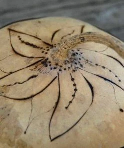 HollyHawkDesigns Sunflower Lidded Dish, Lidded Gourd Dish, Sunflower Decor, Summer Gourd Bowl, Harvest Gourd Bowl