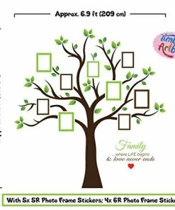 Timber Artbox Large Family Tree Photo Frames Wall Decal - The Sweetest Highlight Of Your Home And Family Wall Decor & Art
